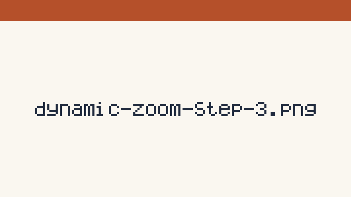 Inspector 中的 Dynamic Zoom 区块