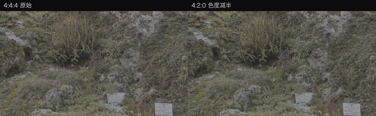 同构图 4:4:4 与 4:2:0 的边缘对比