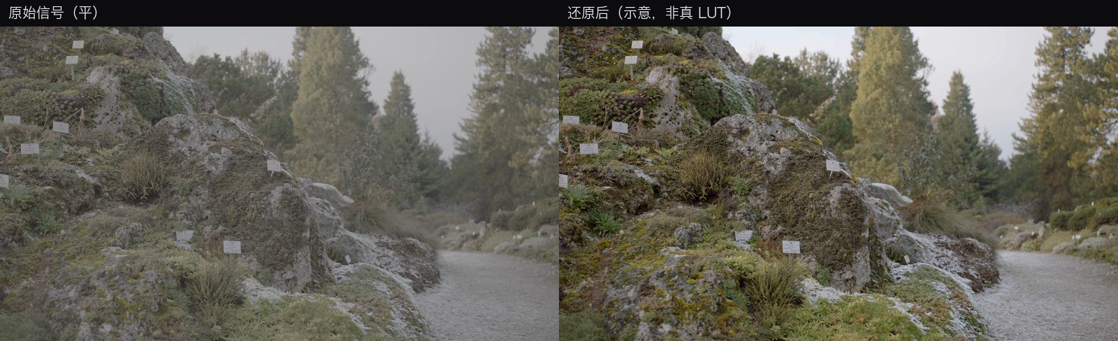 Log 原始信号与还原后的对比