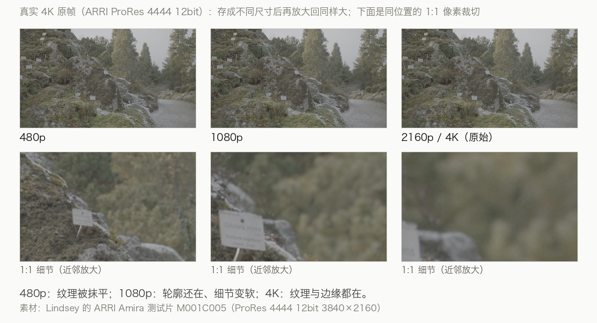真实 4K 帧在 480p / 1080p / 4K 下的差别